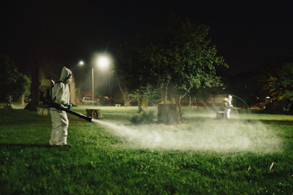 Alarma: detectaron en Mar del Plata al mosquito vector del dengue
