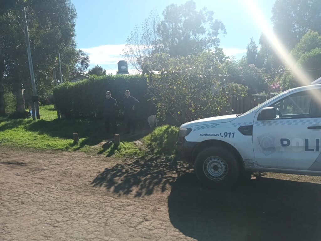 Robó una moto y lo descubrieron cuando quiso venderla en la red pero terminó en libertad