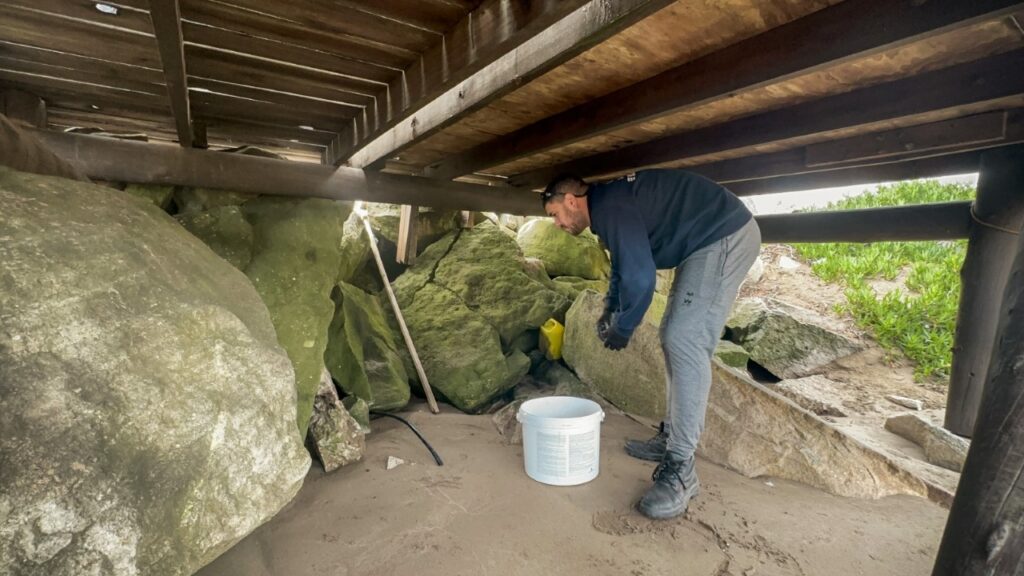El Municipio continúa con los trabajos para evitar la proliferación de roedores