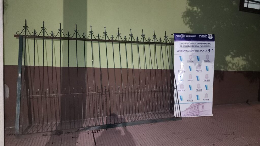Delincuente con frondosos antecedentes circulaba por la calle con un portón robado