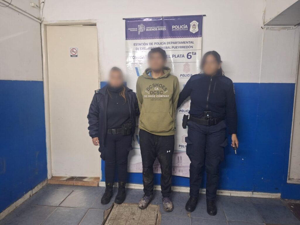 Aprovechó un descuido para robar un celular del interior de un auto pero terminó en Batán