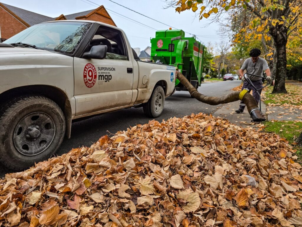 Refuerzan la limpieza urbana durante el otoño en los barrios de Mar del Plata: ¿Cuándo pasan por el mío?