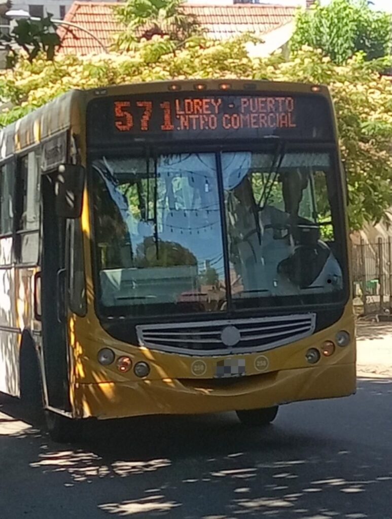 Atacó a los pasajeros de un colectivo con una piedra y terminó aprehendido: tenía problemas mentales