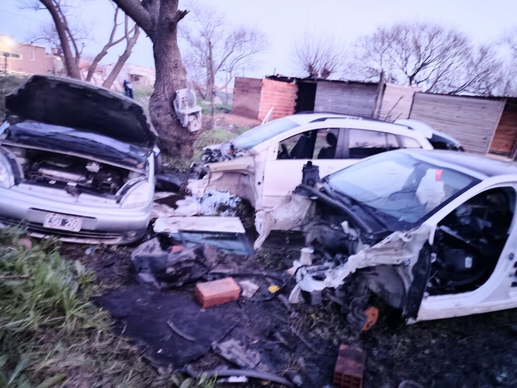 Video: desarmaba autos en el jardín de la casa, lo fueron a buscar pero no lo encontraron