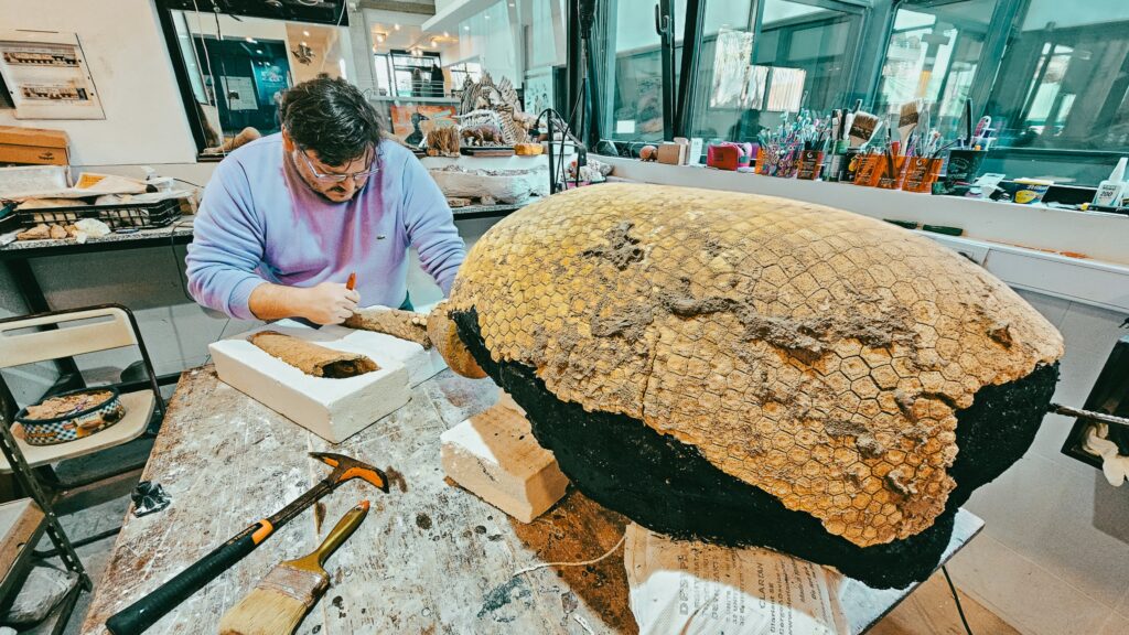 Un paseo en familia en Mar del Plata terminó con hallazgo paleontológico histórico: un gliptodonte bebé