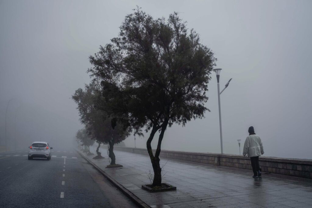 Alerta amarilla para Mar del Plata para este lunes