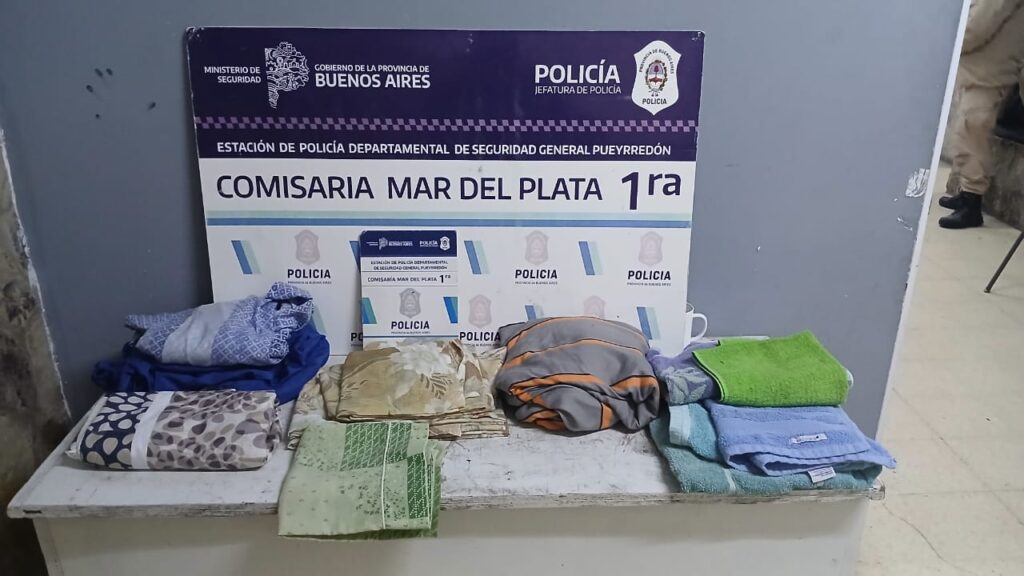 Con un palo se robó sábanas y toallas de un lavadero: las sacó con un palo por la entrada del gato