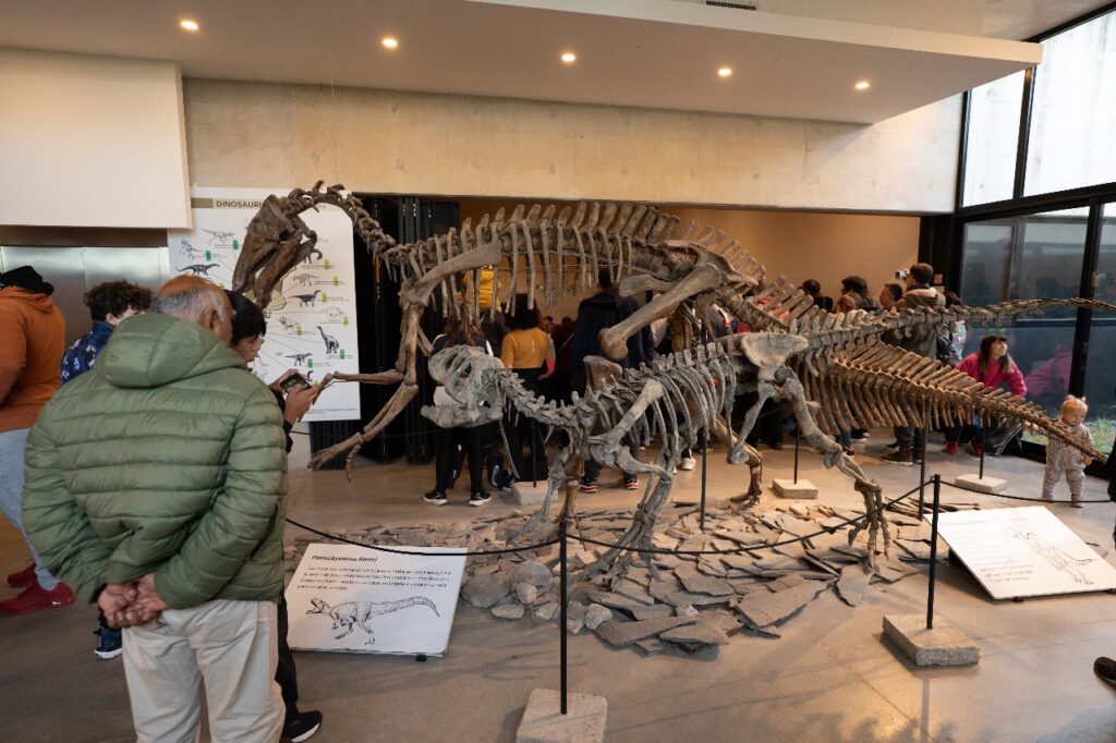 Actividades en el Museo Scaglia: ciencia y charlas especiales