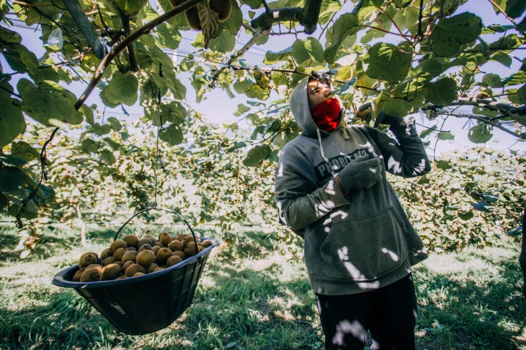 Se realiza el V Simposio de Residuos Agropecuarios y Agroindustriales