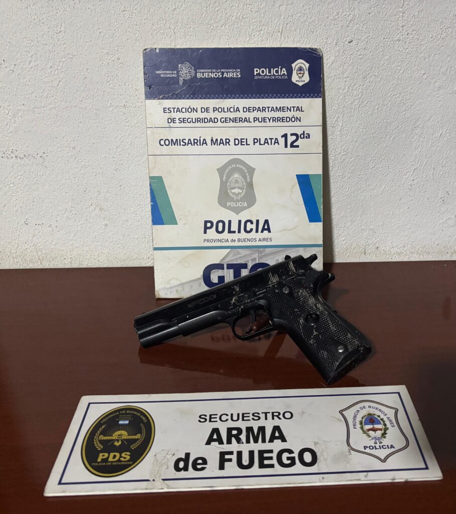Un menor aprehendido tras el robo de un auto: tenía una réplica de un arma de fuego