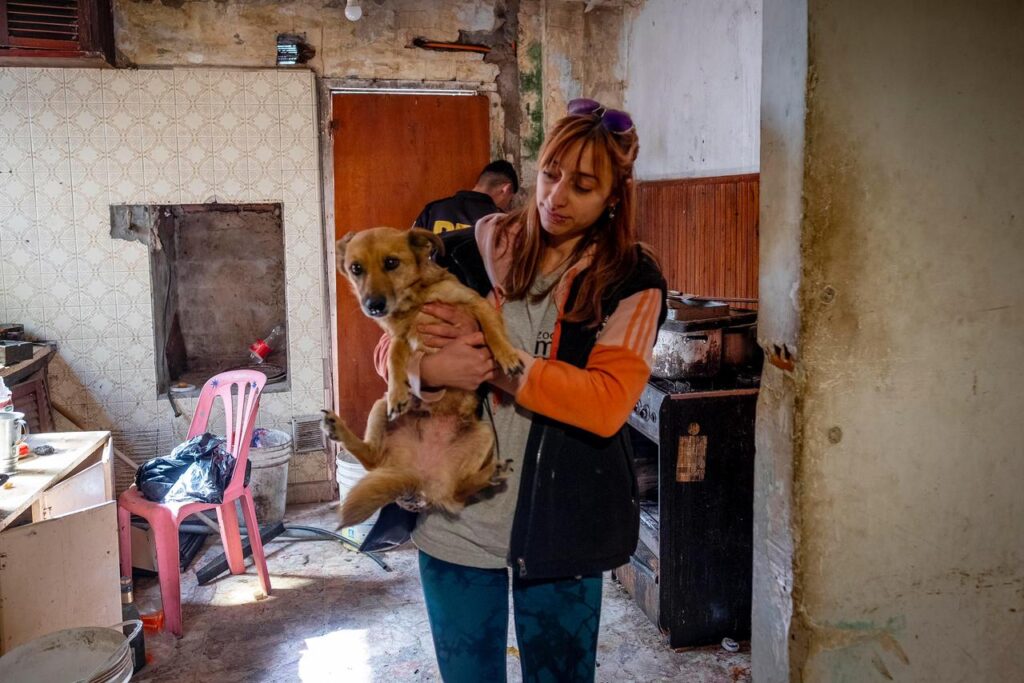 Rescataron a ocho animales de una vivienda usurpada