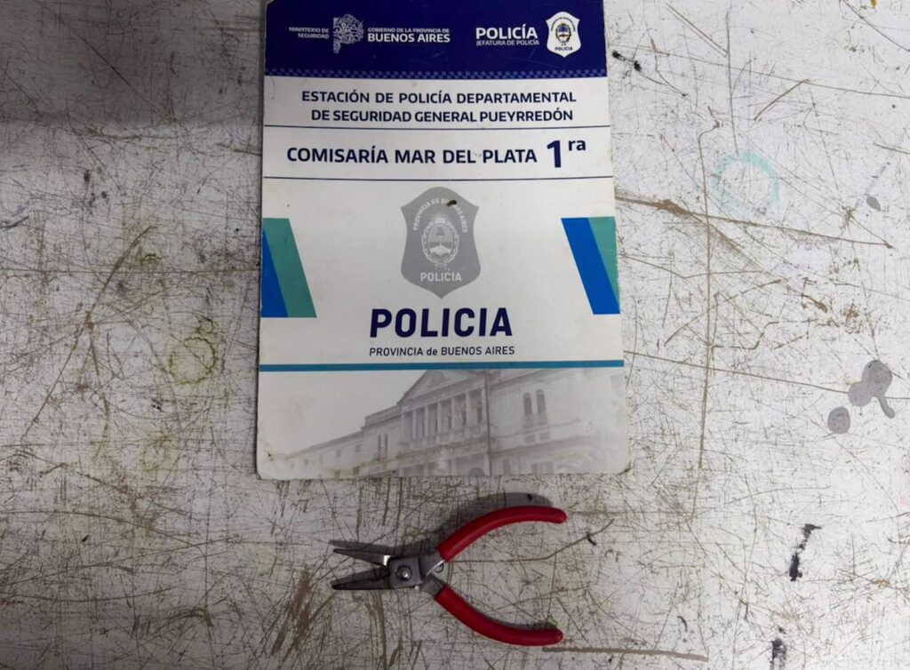 Video: cortó la alarma de una campera y cuando quiso escapar terminó reducida por los empleados