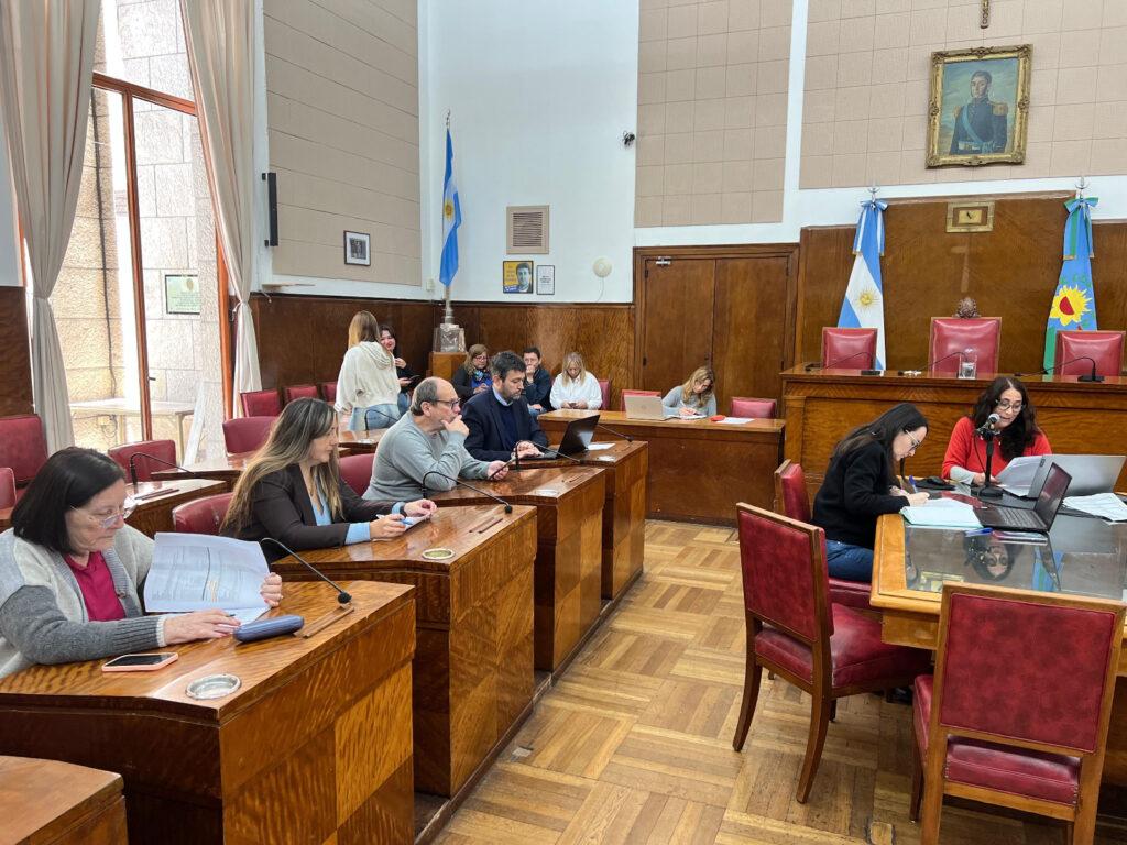 Mar del Plata: pidieron declarar la emergencia en cuestiones de violencia de género por un año