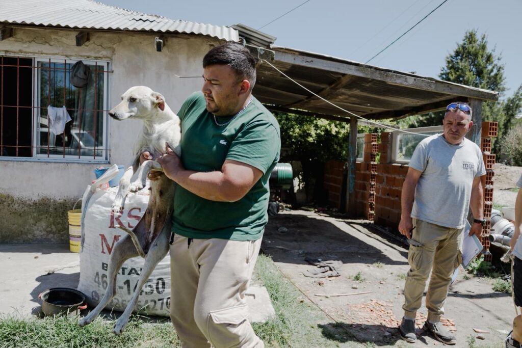 Maltrato animal y tenencia irresponsable: rescataron a cuatro perros de una vivienda para darlos en adopción