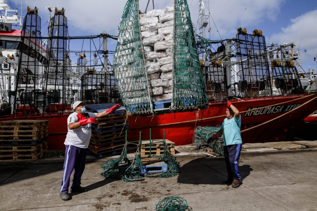 Destacaron la importancia de Puerto Mar del Plata para la zafra de Calamar Illex 2026