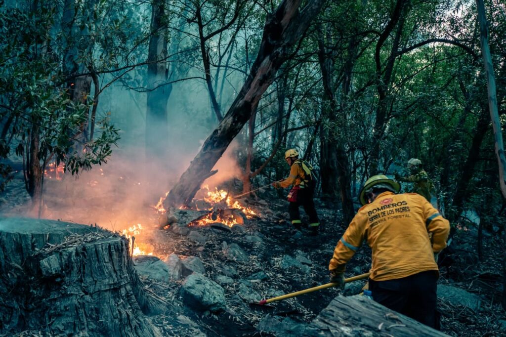 Alerta incendio forestales: informan cuáles son las medidas de prevención ante un riesgo elevado