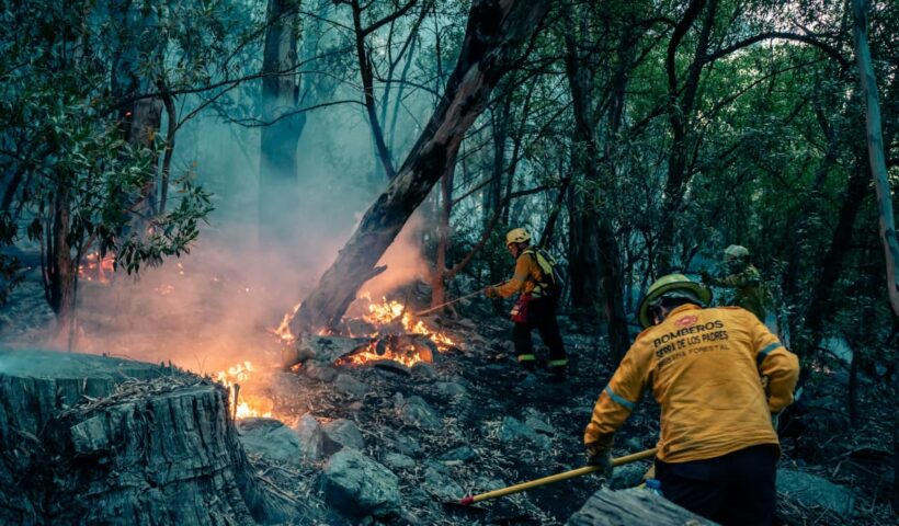 Alerta incendio forestales: informan cuáles son las medidas de prevención ante un riesgo elevado