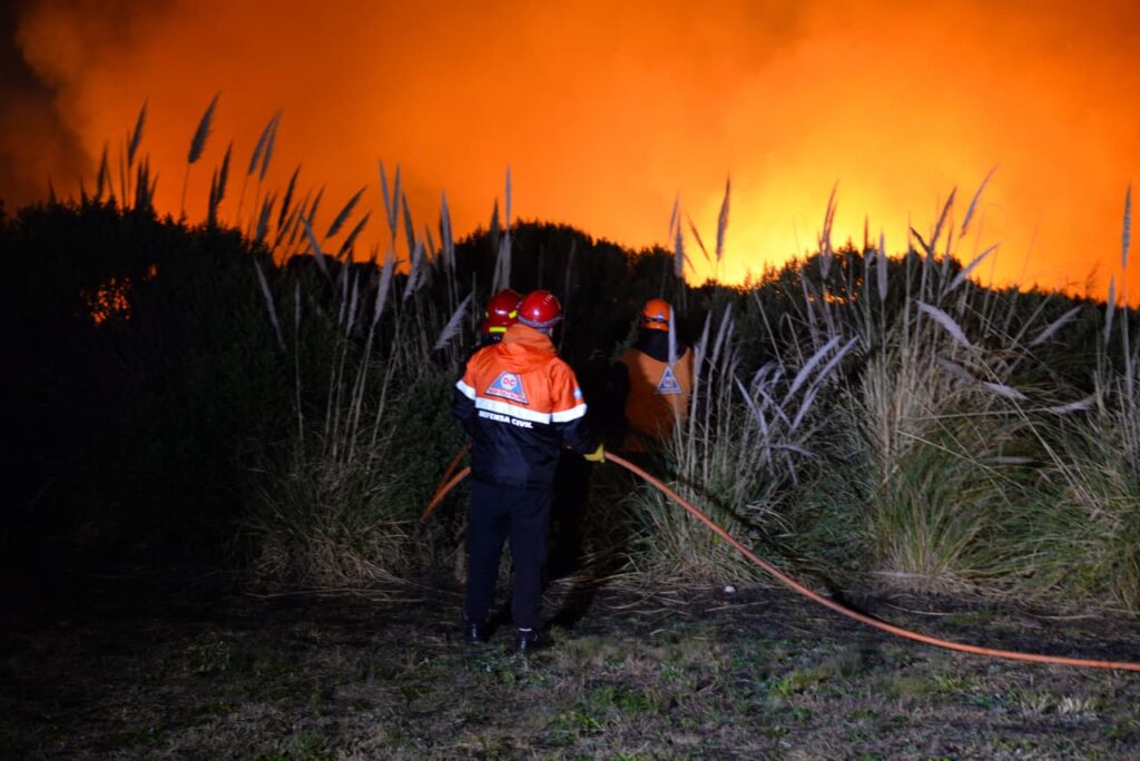 Incendios forestales: los factores que agravan su propagación y los desafíos para su prevención