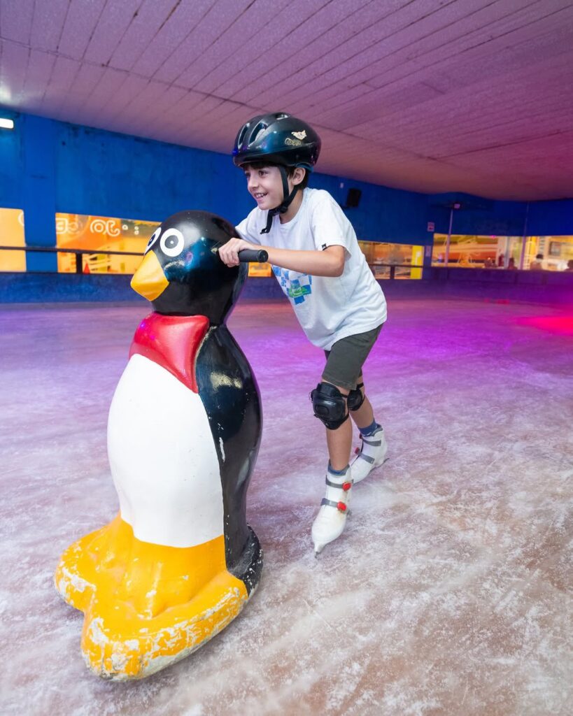 Patiná gratis en la única pista de hielo de Mar del Plata: la entrada será un alimento no perecedero