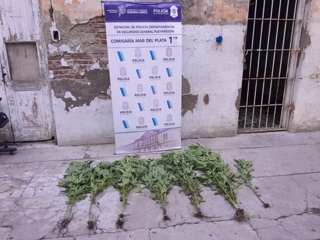 Video: allanamiento permitió desarticular un clan familiar dedicado al delito desde el arresto domiciliario