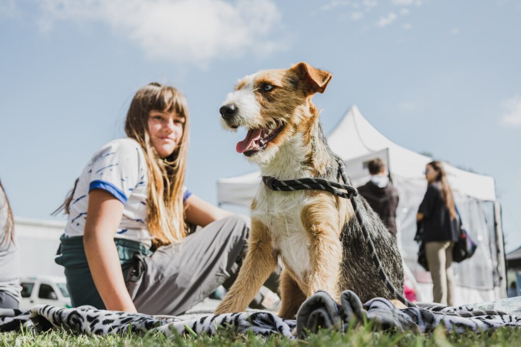 Dónde estarán ubicados los quirófanos móviles para animales esta semana