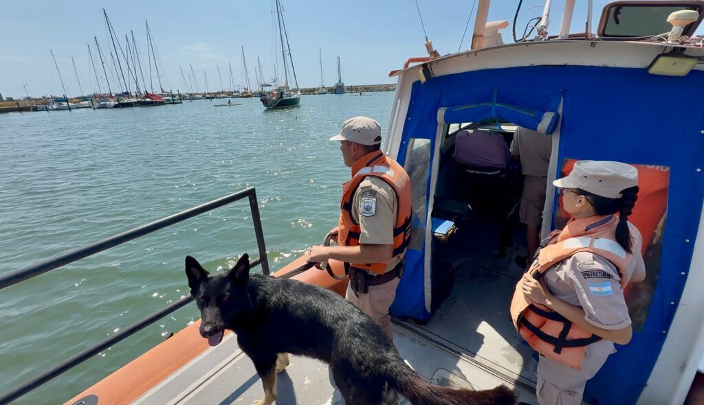 Video: Prefectura controla con perros veleros internacionales en su arribo a Mar del Plata