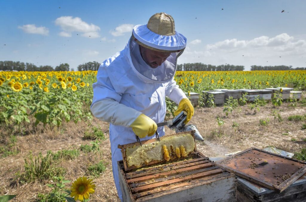 Producción, capacitación e innovación marcaron el año del Municipio en el sector agropecuario