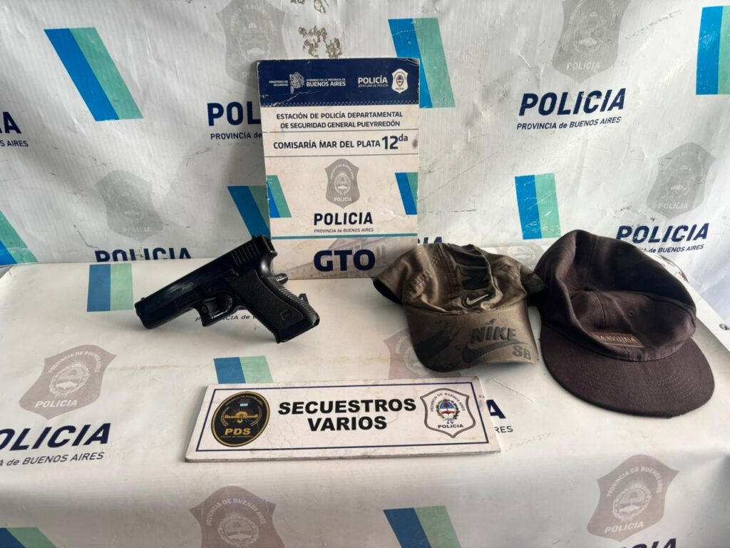 Video: cayó un peligroso delincuente que robó a una mujer y su hijo discapacitado mientras esperaban el colectivo