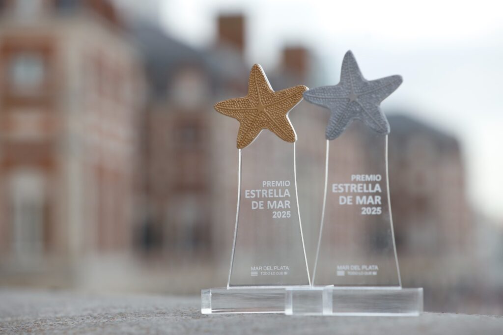 Premios Estrella de Mar 2026: se conocieron los nominados