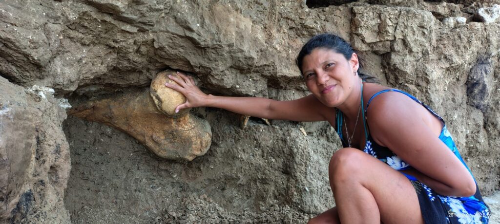 Impresionante descubrimiento de turistas: encontraron restos de un megaterio en la playa