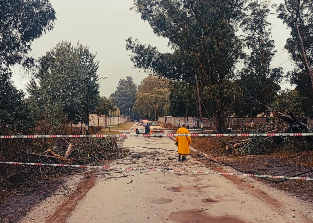 Avanzaron durante el sábado con tareas de asistencia y prevención tras fuerte tormenta