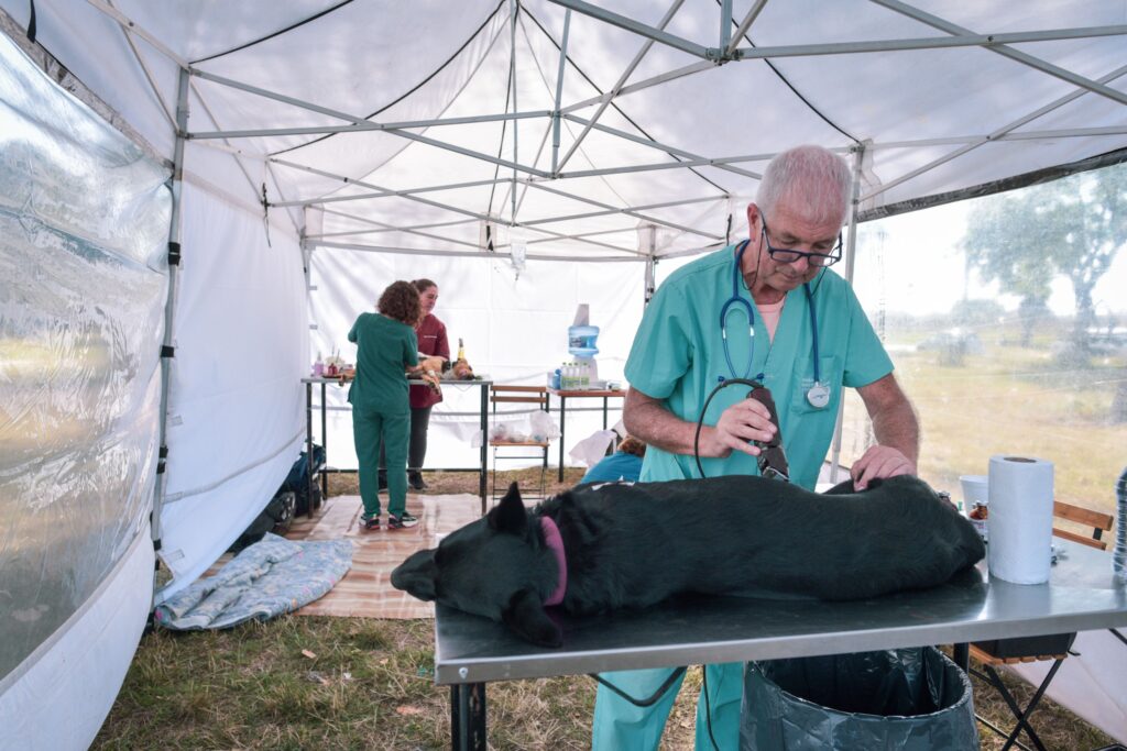 Dónde estarán ubicados los quirófanos móviles para animales