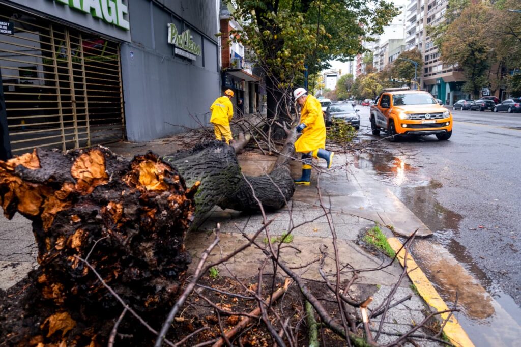 Comienzan la semana realizando tareas de asistencia y prevención tras las lluvias y vientos registrados el fin de semana