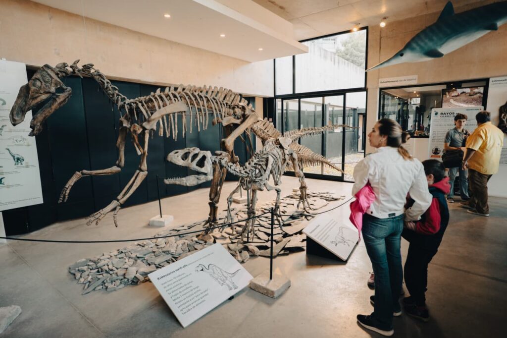 Mayo en el Museo Scaglia con muestras y actividades especiales