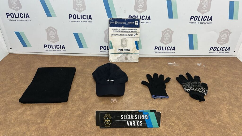 Noche de terror: una joven vio a delincuentes entrar en su casa, se encerró y llamó a la policía