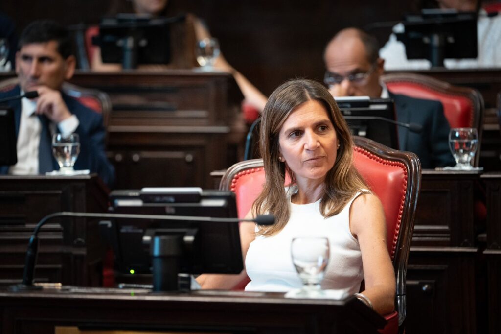 Desde Mar del Plata presentaron un proyecto en contra de la eliminación de la Zona Fría apuntando a Milei