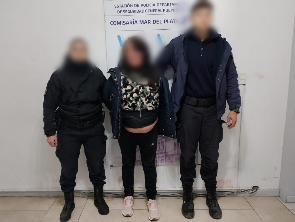 Una mujer se puso violenta en un colectivo y se activó el botón de pánico