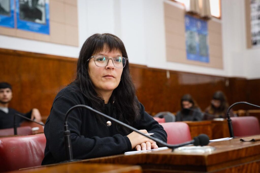 Proponen realizar un relevamiento integral de cordones amarillos que no tienen autorización municipal