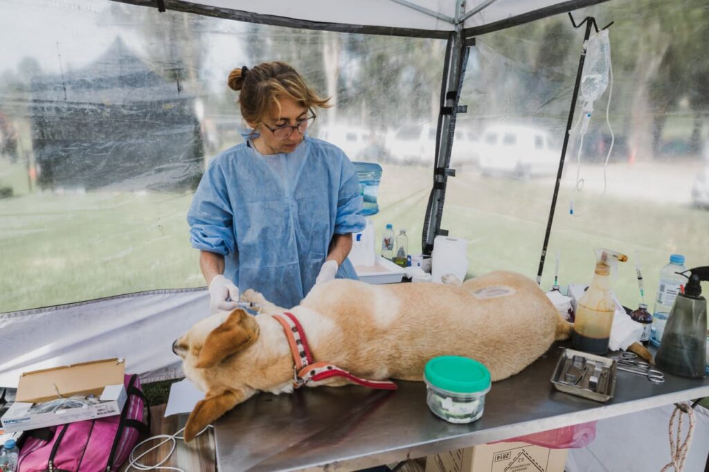 Dónde estarán ubicados los quirófanos móviles para animales