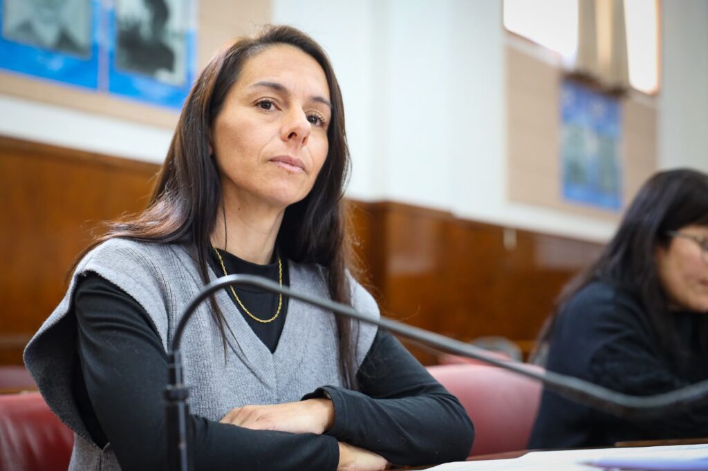 Proponen que Mar del Plata adhiera a la aplicación Alerta 911: «Cuando una mujer está en riesgo, cada minuto cuenta»