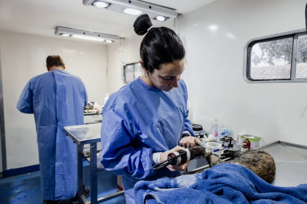 Dónde estarán ubicados los quirófanos móviles para animales