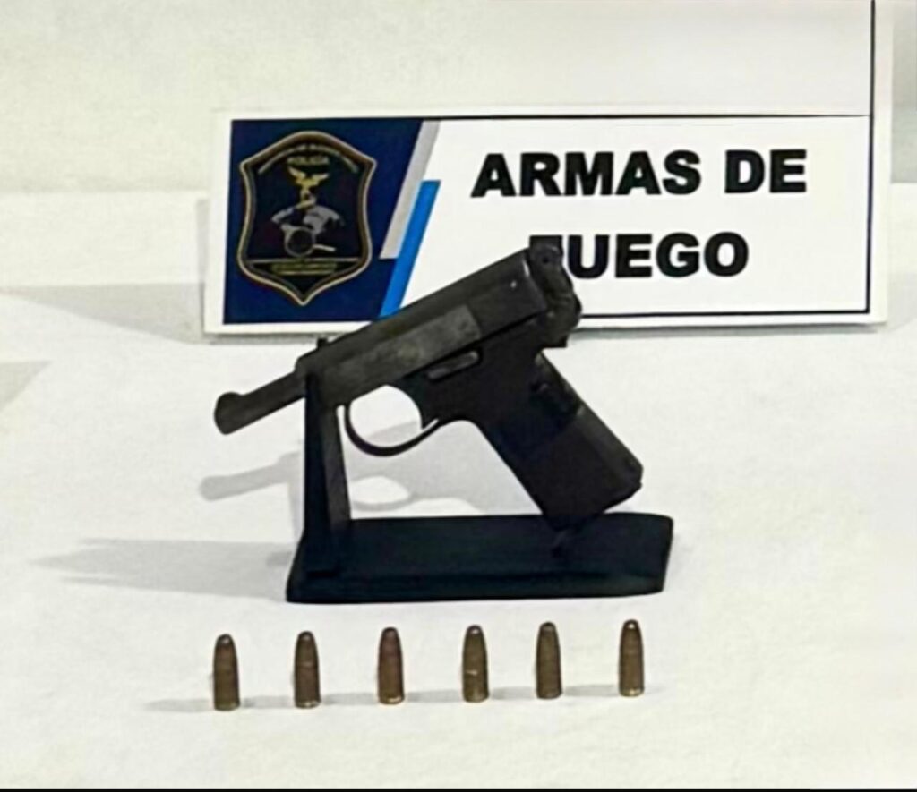 Video: golpe al crimen organizado en Mar del Plata desarticuló organización dedicada al robo automotor