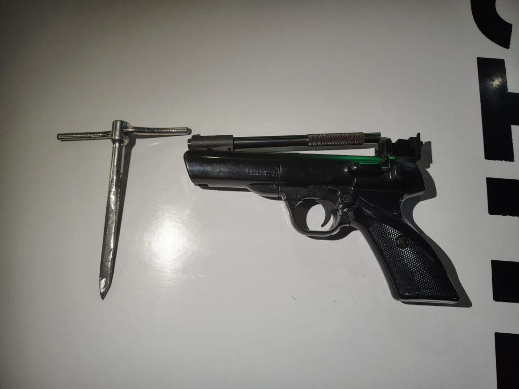 Mega operativo en Mar del Plata: detuvieron a tres personas y secuestraron drogas y una camioneta
