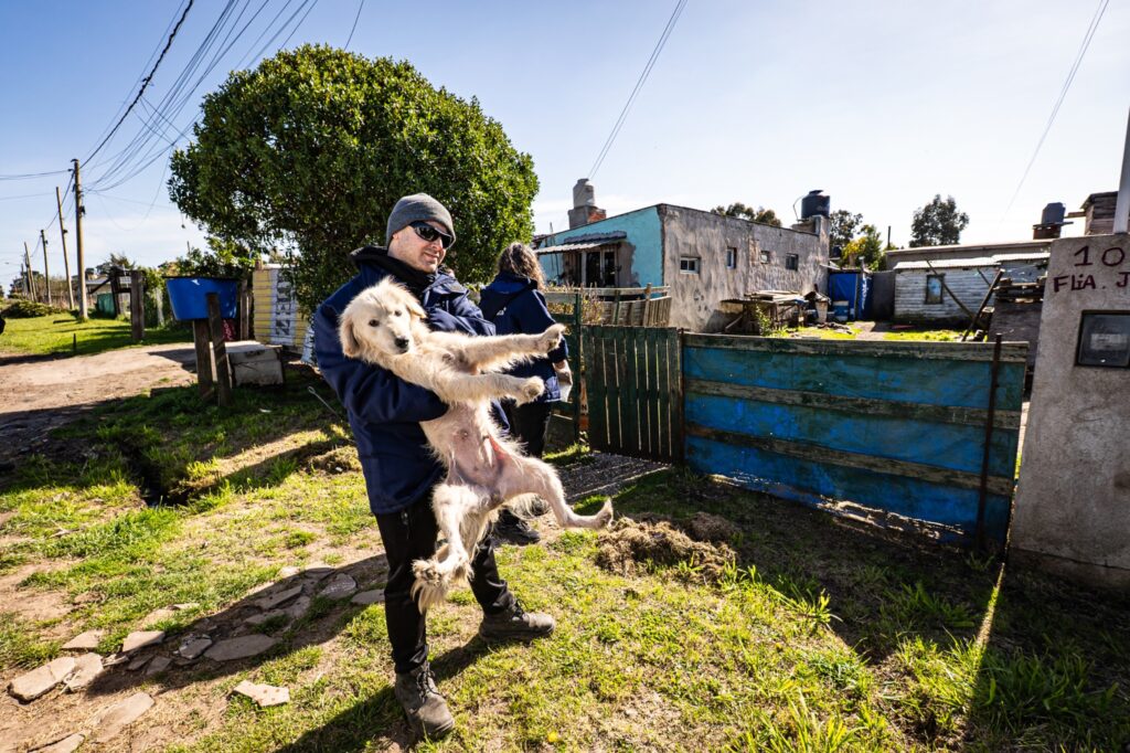 Rescataron a tres perros víctimas de maltrato y en estado de abandono