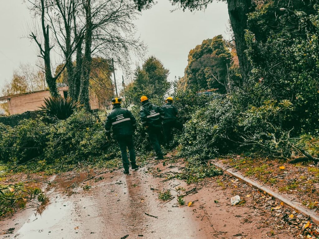 El temporal generó decenas de daños en distintos barrios de Mar del Plata