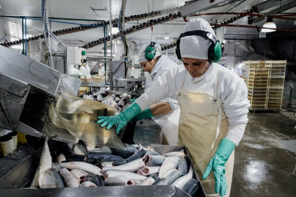 Más de 13.300 artículos y 310 empresas forman parte del programa Producto Local