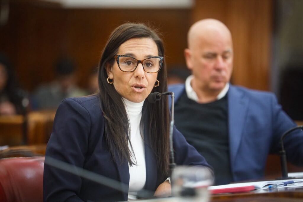 Ayala: «Prorrogaron la vida útil de colectivos sin VTV y es una bomba de tiempo que estalla por partes»