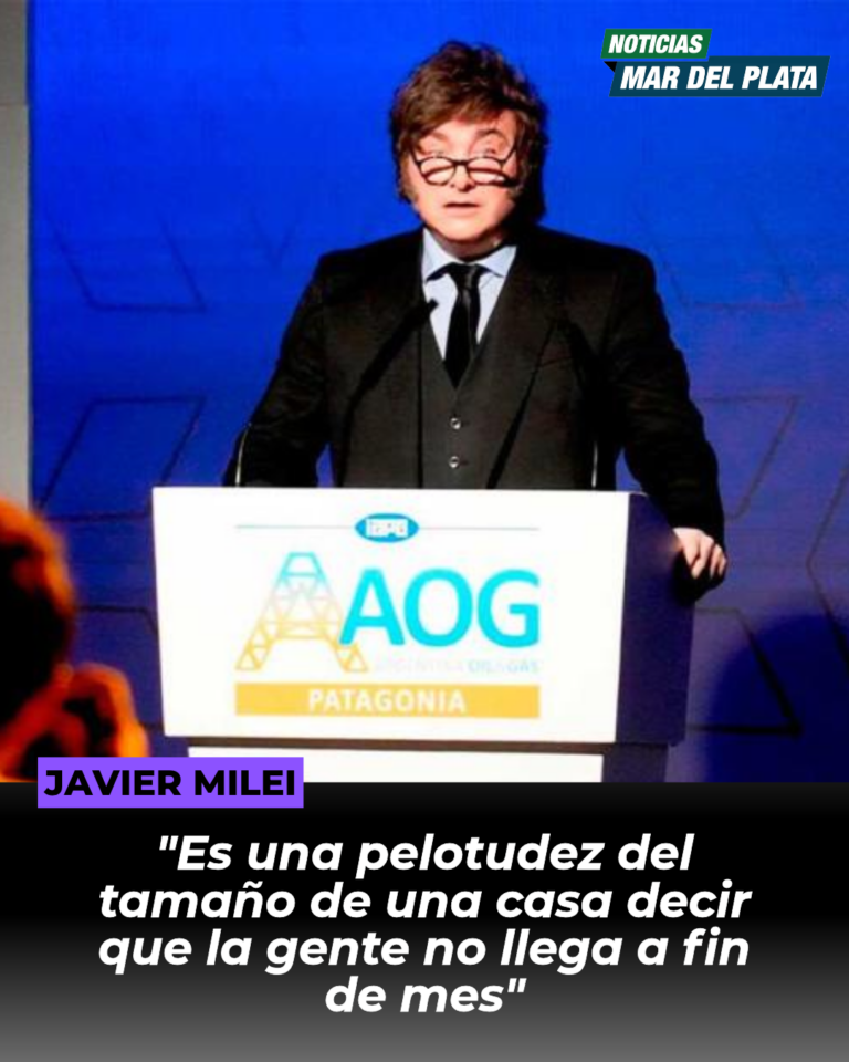 Javier Milei: «Es una pelotudez del tamaño de una casa decir que la gente no llega a fin de mes»