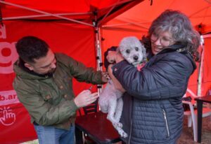 Se retoma en Mar del Plata la vacunación antirrábica gratuita: ¿Dónde acudir?