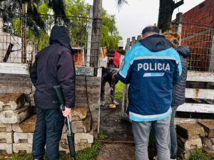Maltrato animal: rescataron a una cachorra en mal estado de salud y con parásitos
